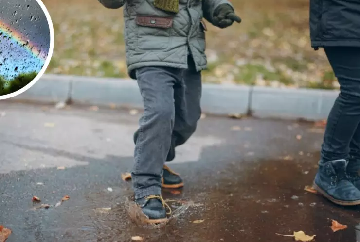 Hay suspensión de clases en Tijuana y Baja California el viernes 14 de febrero de 2025 por lluvias
