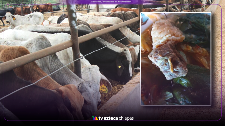 ¡Alerta sanitaria! Carne sin control sanitario amenaza Chiapas y tu salud