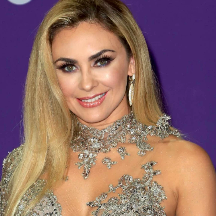 Aracely Arámbula se quita el sostén y se une a la liberación femenina