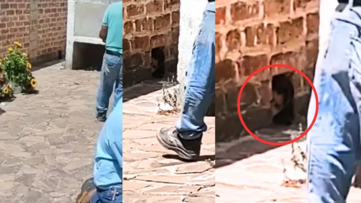 Niño fantasma en Panteón