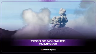 WhatsApp Image 2025-11-10 at 11.56.35 AM.jpeg