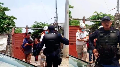 Familia resulta envenenada por consumir un pollo que les regalaron