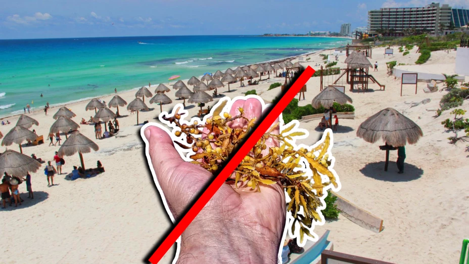 Estas son las playas sin sargazo en Quintana Roo HOY 14 de noviembre de 2025_ Cancún, Playa del Carmen, Tulum y más.webp