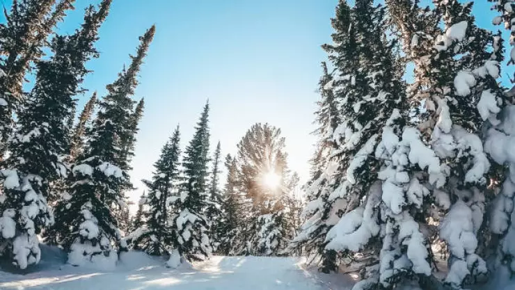solsticio de invierno 2023