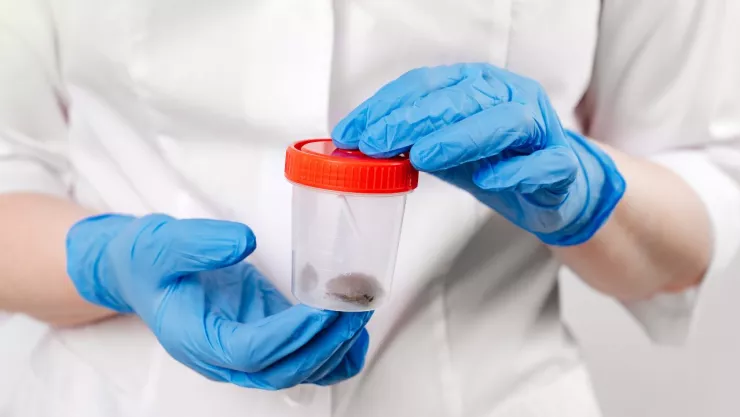 Trasplante de popó puede salvar vidas