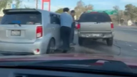 Gaviotones agreden a un conductor que hacía fila en la garita de Otay