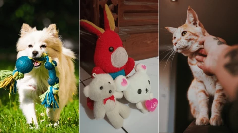 5 ideas para reciclar los muñecos viejos y usarlos en tus mascotas, según la IA.png