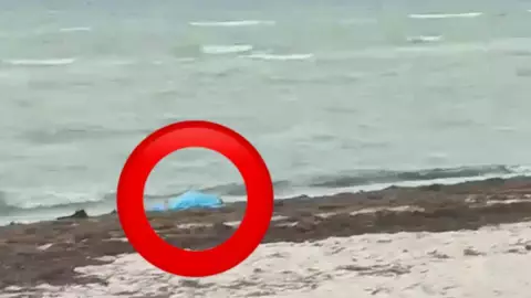 recala cuerpo sin vida a orillas playa progreso