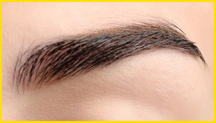 Cejas