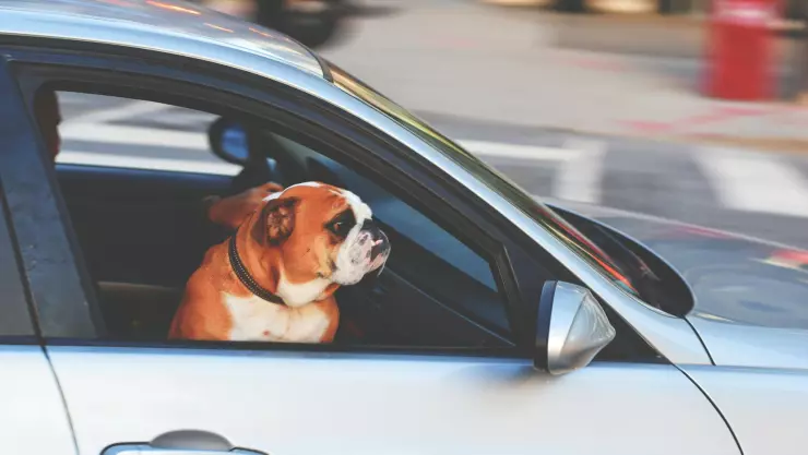 ¿Saldrás de la ciudad? El reporte del tráfico en la carretera Guadalajara-Colima hoy 24 de octubre de 2025 EN VIVO