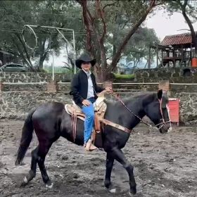 dia mundial de animales de la granja.jpg