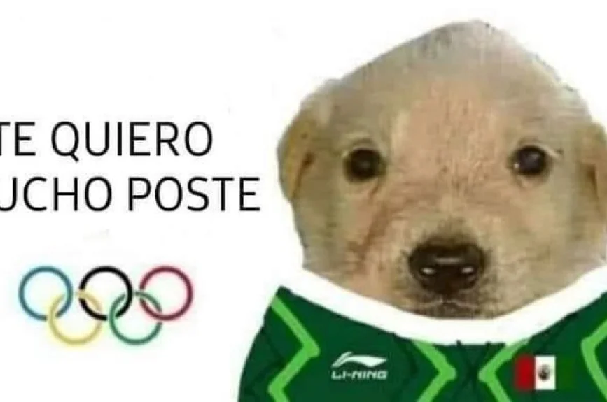 6. Memes Mexico Brasil .jpg
