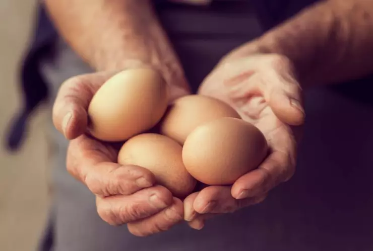 ¿Cómo guardar los huevos?