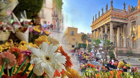 Día de las Flores en Guanajuato capital