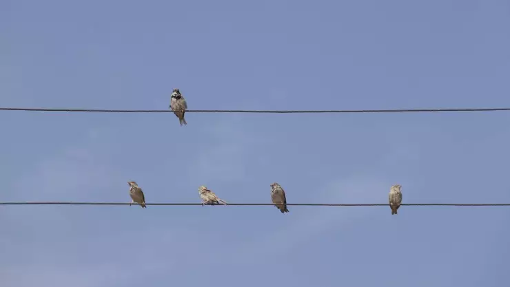 calidad del aire en Guanajuato