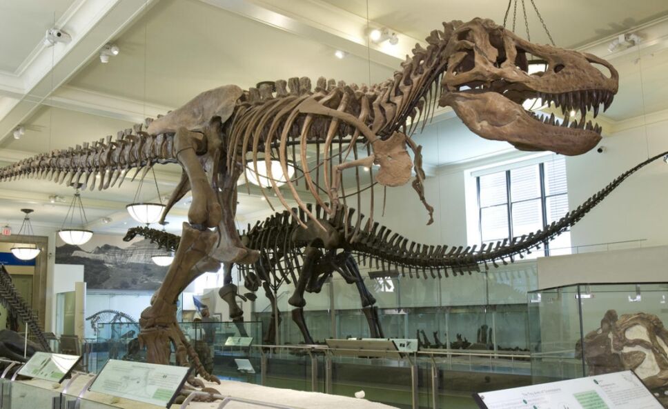 escuelas dinosaurios guarderias.jpg