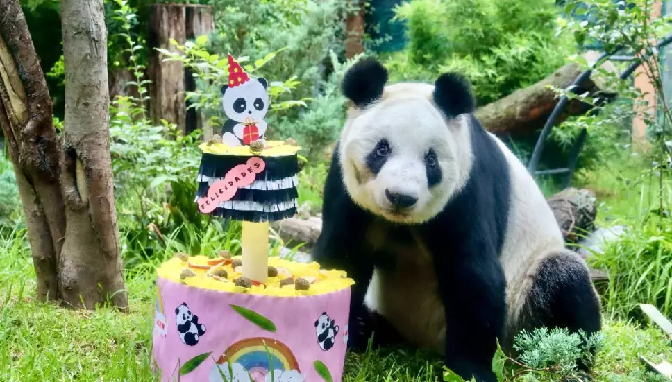 Estos son los costos del Zoológico de Chapultepec por vacaciones de verano