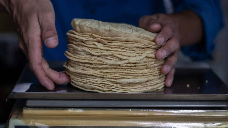 costo del kilo de tortillas en Veracruz este 2023