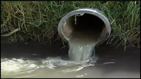 Aguas negras amenazan sus cultivos