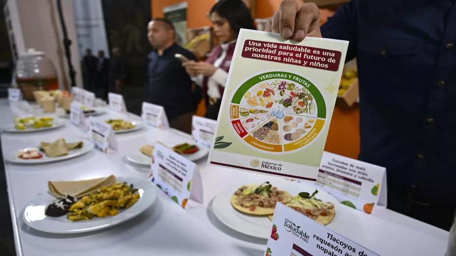 SEP vida saludable (1).jpg