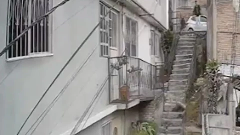 Captan brutal maltrato animal contra perro en Naucalpan: ‘Lobito’ sobrevive arrojado por escaleras VIDEO