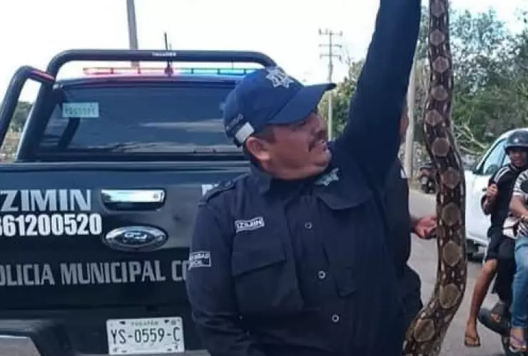 serpiente en calles de tizimin