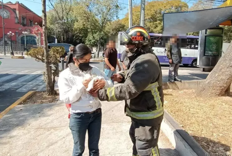 Bomberos rescatan a gatito atrapado en árbol en Tlalpan