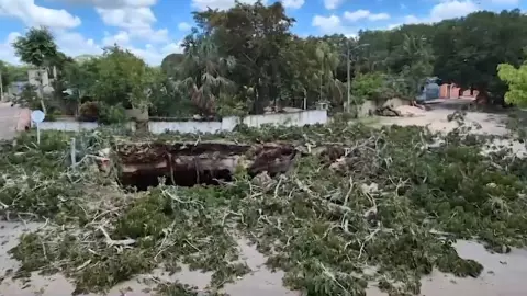 Socavón en Valladolid_ Temen que se abra un nuevo hoyo en el suelo yucateco