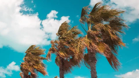 Alertan por vientos de Santa Ana en Tijuana para el domingo 29 de octubre 2023