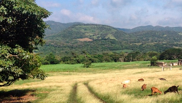 Clima San Fernando Chiapas