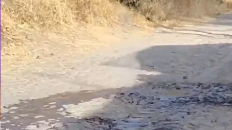VIDEO Se abre la tierra en Jalisco… en plena calle se abrió un cráter del que sale humo