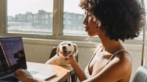 pension trabajador independiente