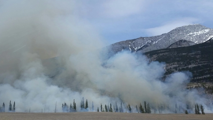 VIDEO: Ruidoso, con efectos devastadores tras incendios forestales; ¡mexicanos se suman a la ayuda!