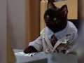 salem-saberhagen-sabrina-la-bruja-adolescente