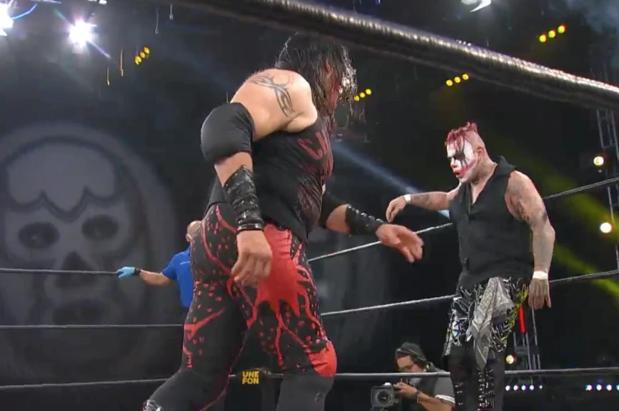 Lucha Fighter