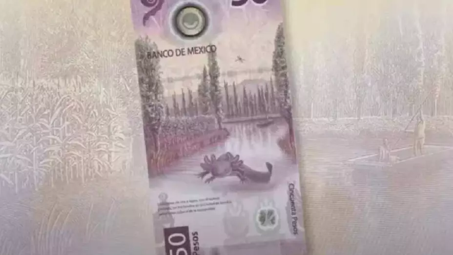 Dan hasta 6 MILLONES por este inusual billete de 50 pesos con estas características