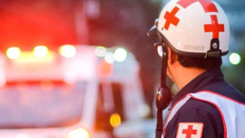 ¿Cómo se creo la Cruz Roja Mexicana y qué servicios ofrece?