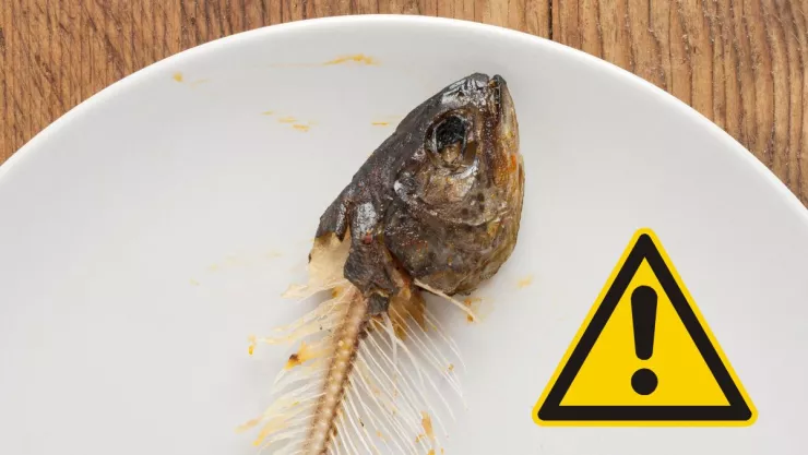 Qué hacer si me queda una espina de pescado en la garganta