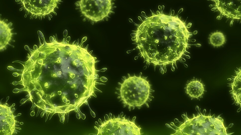 VIRUS