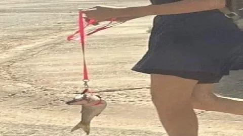 Chica paseando a su pez