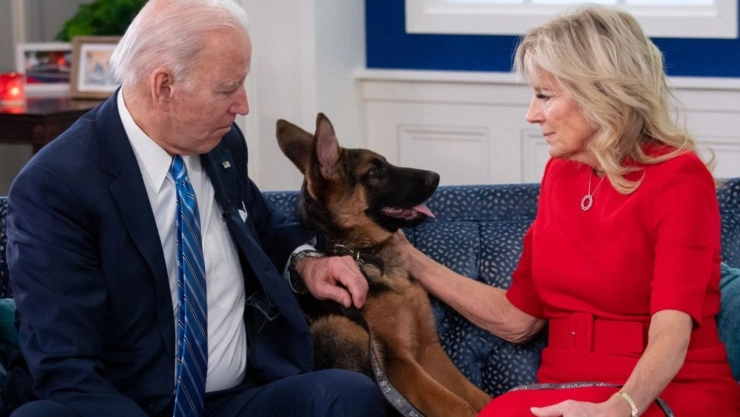 perro-commander-joe-biden-estados-unidos