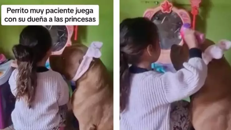 VIDEO_ Niña juega con su perro a las princesas y se viraliza en TkTok