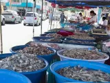 Crisis en La Changueras: violencia en Sinaloa hunde la venta de camarón en Mazatlán