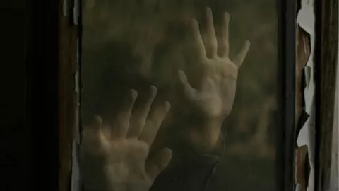 La terrible historia de Genie Wiley