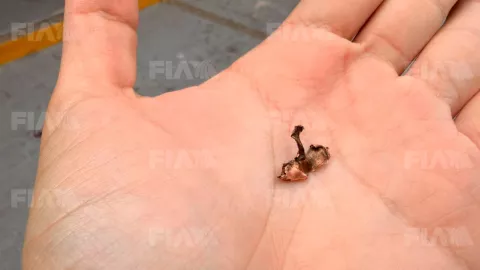 Así quedó el lugar donde atacaron a los diputados Sergio Torres y Elizabeth Montoya en Culiacán. (1).jpg