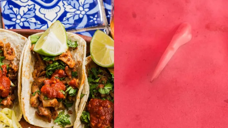 ¡De no creer! Encuentran colmillo de perro en unos tacos de barbacoa en México