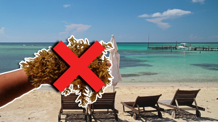 Conoce las playas libres de sargazo en Tulum, Carrillo Puerto, Bacalar, Mahahual y Chetumal HOY 28 de septiembre de 2025.jpg