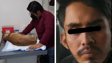 ecatepec perro coheton