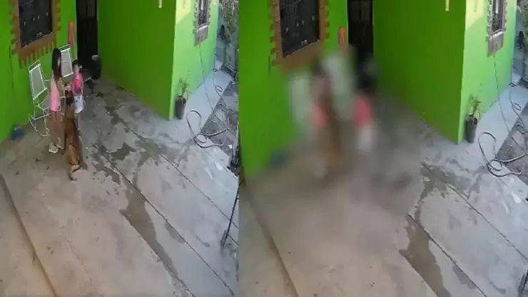 VIDEO SENSIBLE: Así fue el brutal ataque de un perro pastor belga a una niña