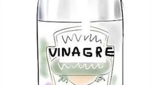 Ingrediente casero para pisos